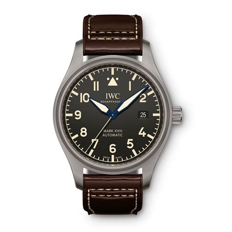 iwc heritage titanium